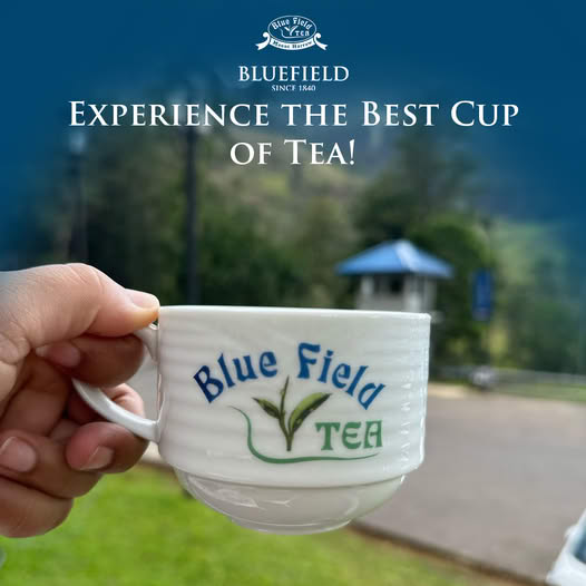 468241840 120215198644900203 4261911051965701093 n