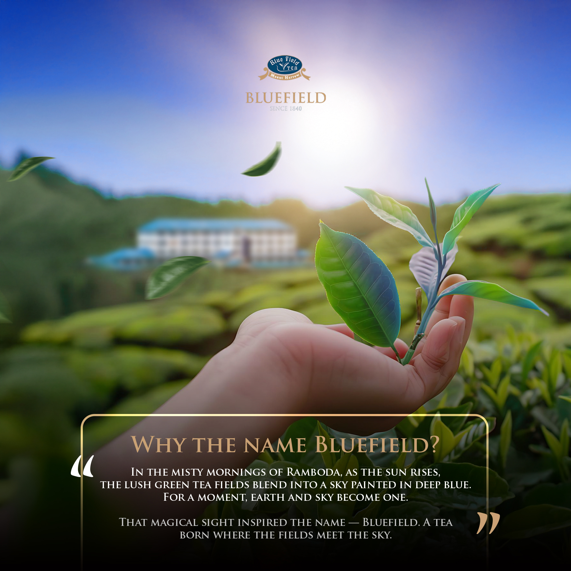 516747510 1164745725674179 7621661212779023155 n